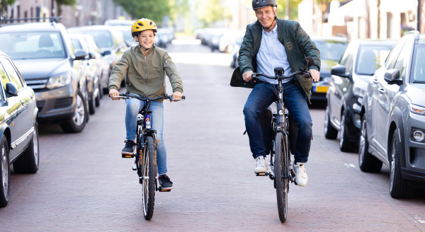 Opfris fiets Oegstgeest