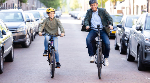 Opfris fiets Oegstgeest