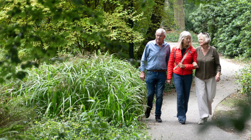 Drie voetgangers wandelen kletsend in het park