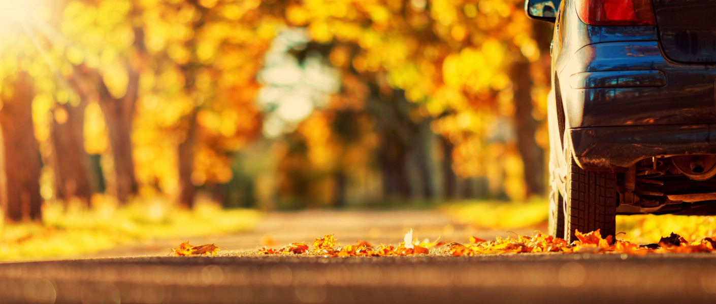 Auto in de herfst