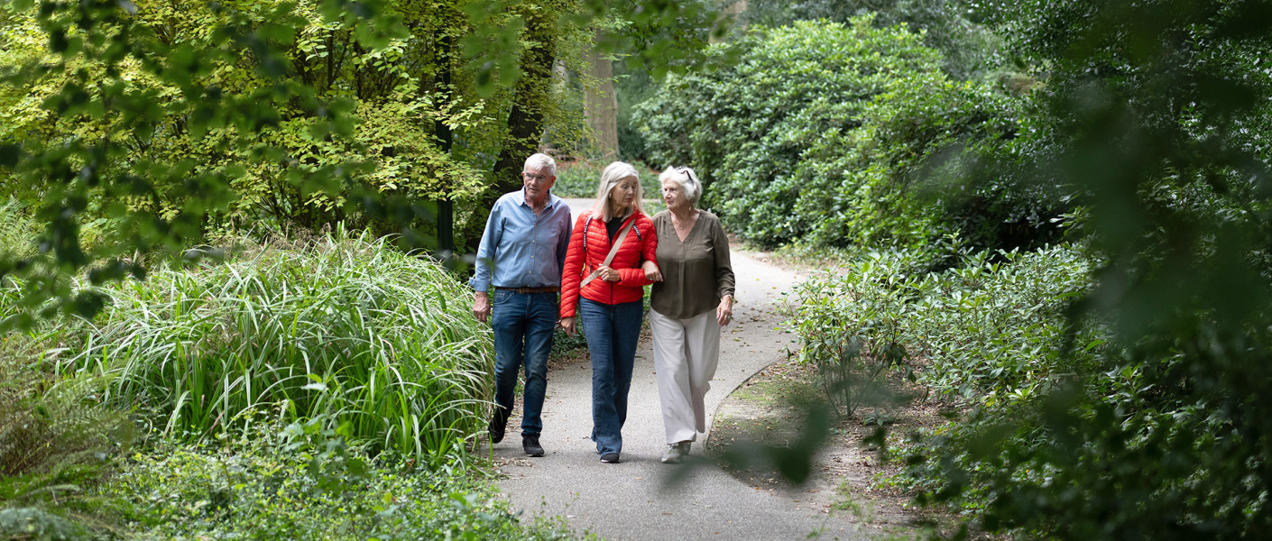 Voetgangers wandelen in park