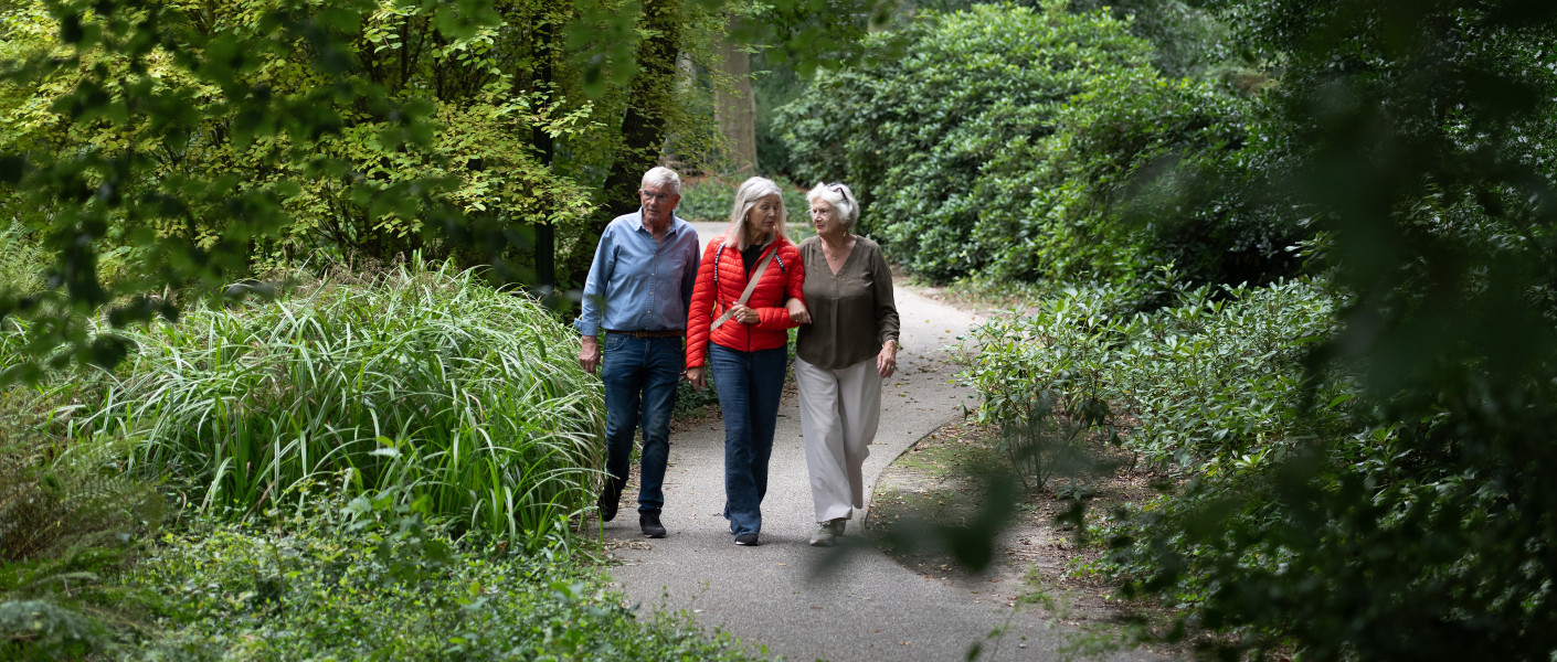 Wandelen in het park