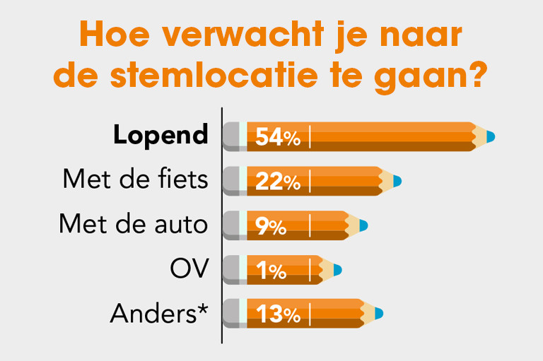 VVN stemlocatie infographic