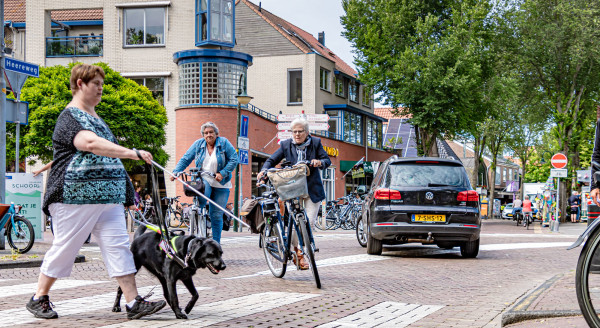 Rachel Kuipers Veilig Verkeer Nederland slechtziend witte stok geleidehond La Luuz Fotografie